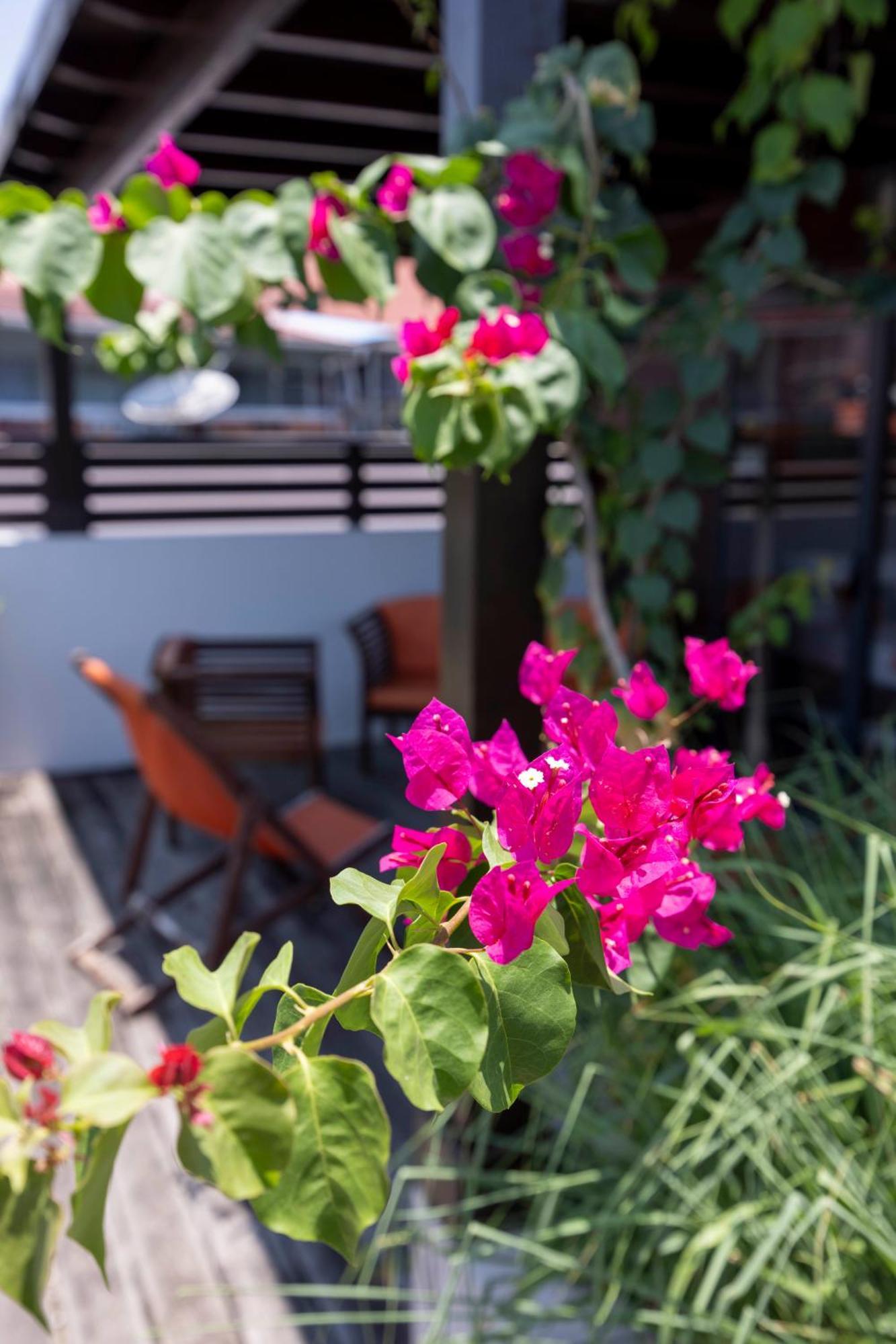 Hotel Ker Alberte Кайенна Экстерьер фото